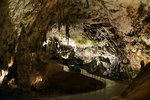 The inhabitants of the cave, the olms (human fish), can be found in the 'mini-aquarium' in the centre.