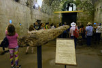 Beams of wood discovered under the floor level of the substructures of the Palace