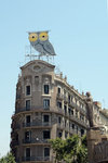 Owls can be found everywhere in Barcelona