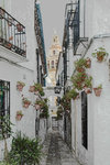 Calleja de las Flores (flower street)