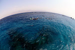 Snorkelling on top of the blue planet