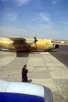 I saw many C-130 transporters in various airfields around Egypt.