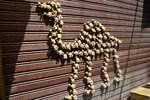 Camels are for sale! But where can I buy them if the shop is closed?