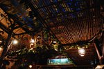 This restaurant is decorated like a rain forest restaurant, with many fish tanks, grapes vines and a cage of parrots!