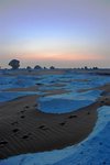 Trails of camels