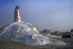 The horsehead and the bear