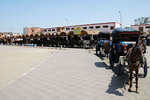 The taxi line: Caleches (horse-drawn carriages) are all lined up and at your service
