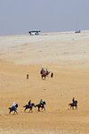 Different ways to travel in the desert: The camels, the horses and the motor buses.