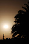 A silhouette of the mosque, the palm and the sun (taken outside Karnak while waiting for the Sound and Light Show)