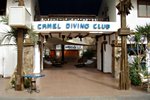 Camel Dive Club, where my dive was arranged. After the dive, people would usually stay inside for drinks or some sheesha (water pipes)
