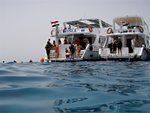 Snorkellers returning to WASSILA