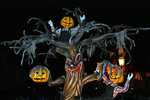 A tree spirit...looks like it's a pumpkin lover too.... yummy! Don't you love to take photos with it?!