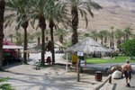 The outdoor area of the Ein Gedi Spa complex is quite nice