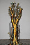 Is this the Tree of Life? No idea why it was put here