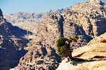 After all these sacrifices of your sweat and energy, you will be rewarded with magnificant views of Petra and around