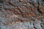 Nabataeans Inscriptions of Al Faishiyya