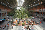 Rain forest feel in Estacion de Atocha