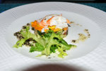Apetizer - lobster and mango fresh salad