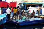 Fishermen distributing their catches of the day