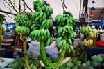 It seems the bananas are sold by bunches instead of by their weight