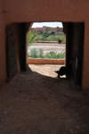 The guardian, who ensures that the ancient Kasbah stays undisturbed; of course unless an offering of 10 Dirhams is made...