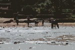 The cowboys are all too willing to help you cross the river, as long as you pay a few dirhams