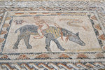 Mosaics found  in the House of the Acrobat - "Chariot Jumper"