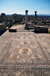 Mosaics found in the House of Dionyss - "The Four Seasons"