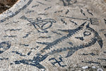 Dolphin mosaics