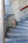 A lonely cat trying to climb up the ledge, but is too high for him..