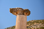 This hybrid version, with an animal on top of an ionic column,was thought to be brought by people outside the Roman Empire