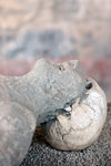 The volcanic ashes buried the body and formed a hard shell around it while the inside has decayed over the years, so the scientists poured plaster inside these hollows to recreate the exact body shape at the time of the incident