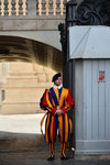 Vatican guards. Most of them are very handsome...