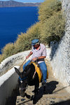People will take the donkeys up or down the long trail from the top of Fira all the way down to the old port