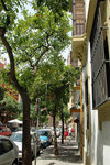 Calle Mateos Gago is shaded by orange trees and filled with souvenir shops, cafes and tapas bars
