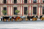 Horse-drawn carriages lined up in Plaza Virgen de los Reyes