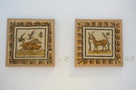 wild boars and a deer