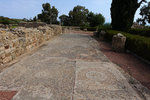 There were not much left in the area, this was probably the only mosaics still found on the original place
