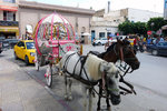 There was another similar carriage outside the medina