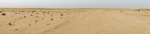This was the salt lake (Chott el Gharsa), as you could see there were no "shores" visible!