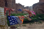 Pretty good place to dry their clothes..