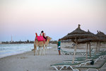 also camel riding if you fancy something taller and bigger