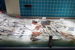 We wandered aimlessly and landed in this huge supermarket... The fishes could be an option?
