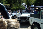 DSCF0256