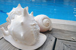 Nice decoration by the hotel's pool