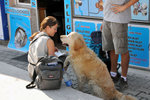 girl: Can you tell me where is ...? tourist information dog: Here, let my paw show you on the map...