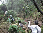2007060309s