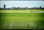 2006.07.21-07.30 Cambodia & Vietnam[1]ori 099is