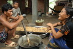 sugarcane makers