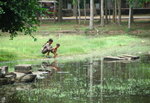 bathing time